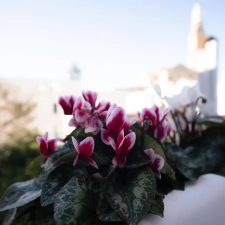 Terrazza Rossa Di Millo * Монополи