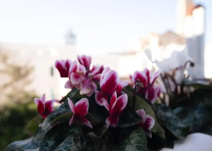 Terrazza Rossa Di Millo * 莫诺波利