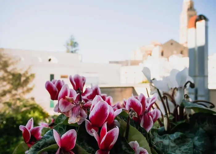 Terrazza Rossa Di Millo Monopoli
