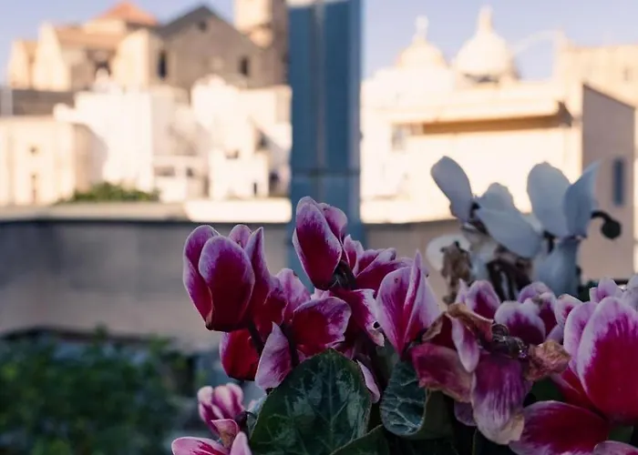 公寓 Terrazza Rossa Di Millo 莫诺波利